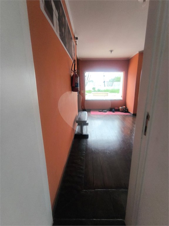 Apartamento à venda com 3 quartos, sendo 1 suíte, em Tucuruvi, São Paulo, SP