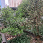 Terreno à venda em Santana, São Paulo, SP