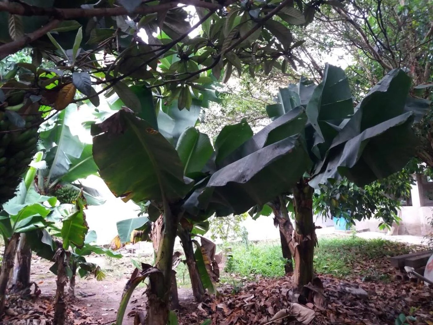 Casa à venda com 4 quartos, sendo 1 suíte, em Jardim Helga, São Paulo, SP