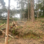 Terreno à venda no Centro (mailasqui), São Roque, SP