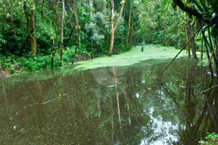 Sítio à venda com 5 quartos, sendo 1 suíte,  em Área Rural de Tapiraí, Tapiraí, SP