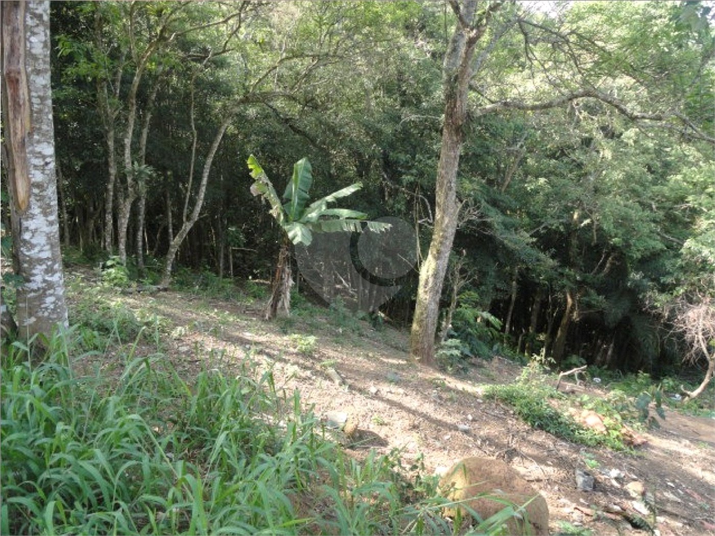 Terreno à venda em Samambaia, Mairiporã, SP