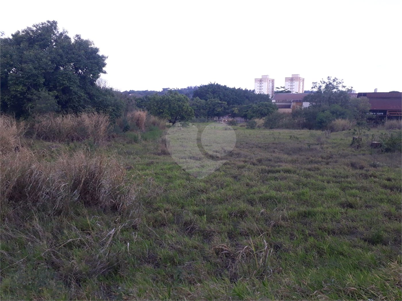 Fazenda com pasto a venda em Morungaba