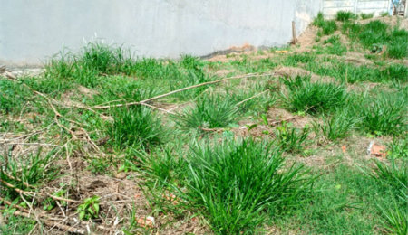 Terreno à venda em Jardim Paulista, Atibaia, SP