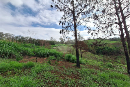 Área de Terra à venda com 1 suíte em Cocais, Itatiba, SP