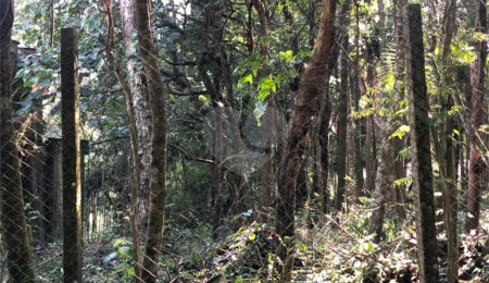 Terreno à venda em Roseira, Mairiporã, SP