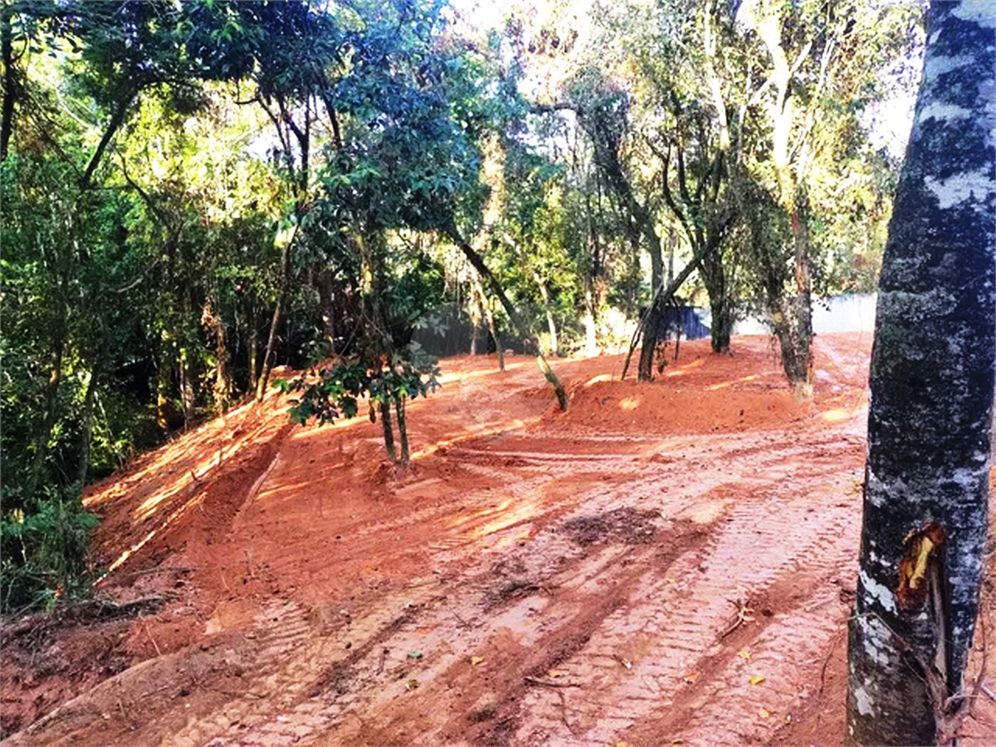 Chácara à venda em Dois Córregos, Valinhos, SP