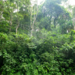 Terreno à venda em Vila Santo Antônio, São Roque, SP