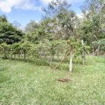 Chácara à venda com 4 quartos, sendo 1 suíte, em Pinheirinho, Vinhedo, SP