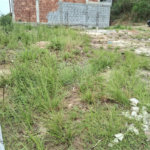 Terreno à venda em Santíssimo, Rio de Janeiro, RJ