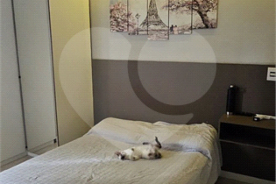 Apartamento à venda com 2 quartos em Jabaquara, São Paulo, SP