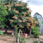Casa à venda com 2 suítes no condomínio Portal dos Pássaros, Alambari - SP