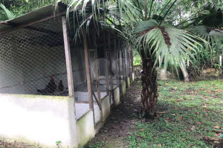 Sítio à venda com 5 quartos, sendo 2 suítes,  em Parque Recreio Dom Pedro Ii (guia de Pacobaíba), Magé, RJ