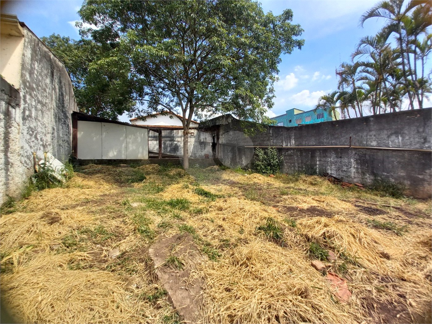 Casa Térrea à venda com 5 suítes em Vila Lageado, São Paulo, SP