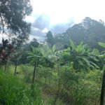 Chácara à venda em Sorocamirim (canguera), São Roque, SP