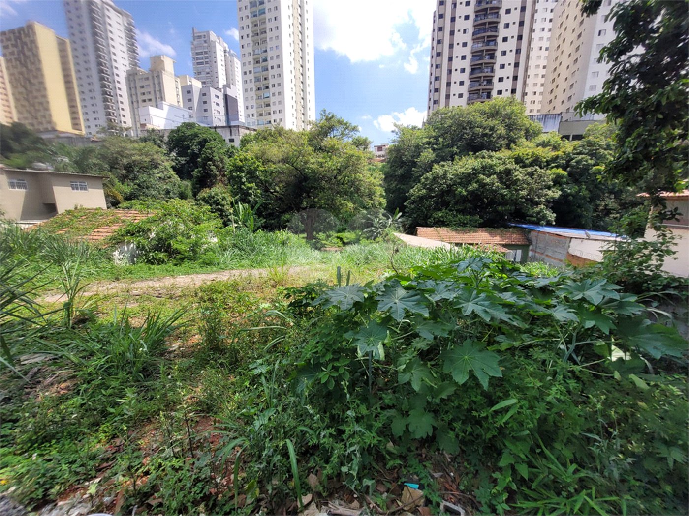 Terreno à venda com 1 quarto em Água Fria, São Paulo, SP