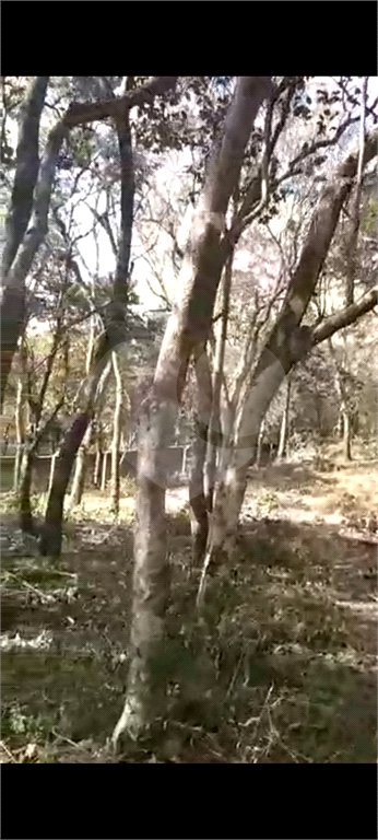 Terreno à venda em Luiz Fagundes, Mairiporã, SP