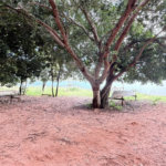 Chácara à venda com 2 quartos, sendo 1 suíte, em Zona Rural, Três Lagoas, MS