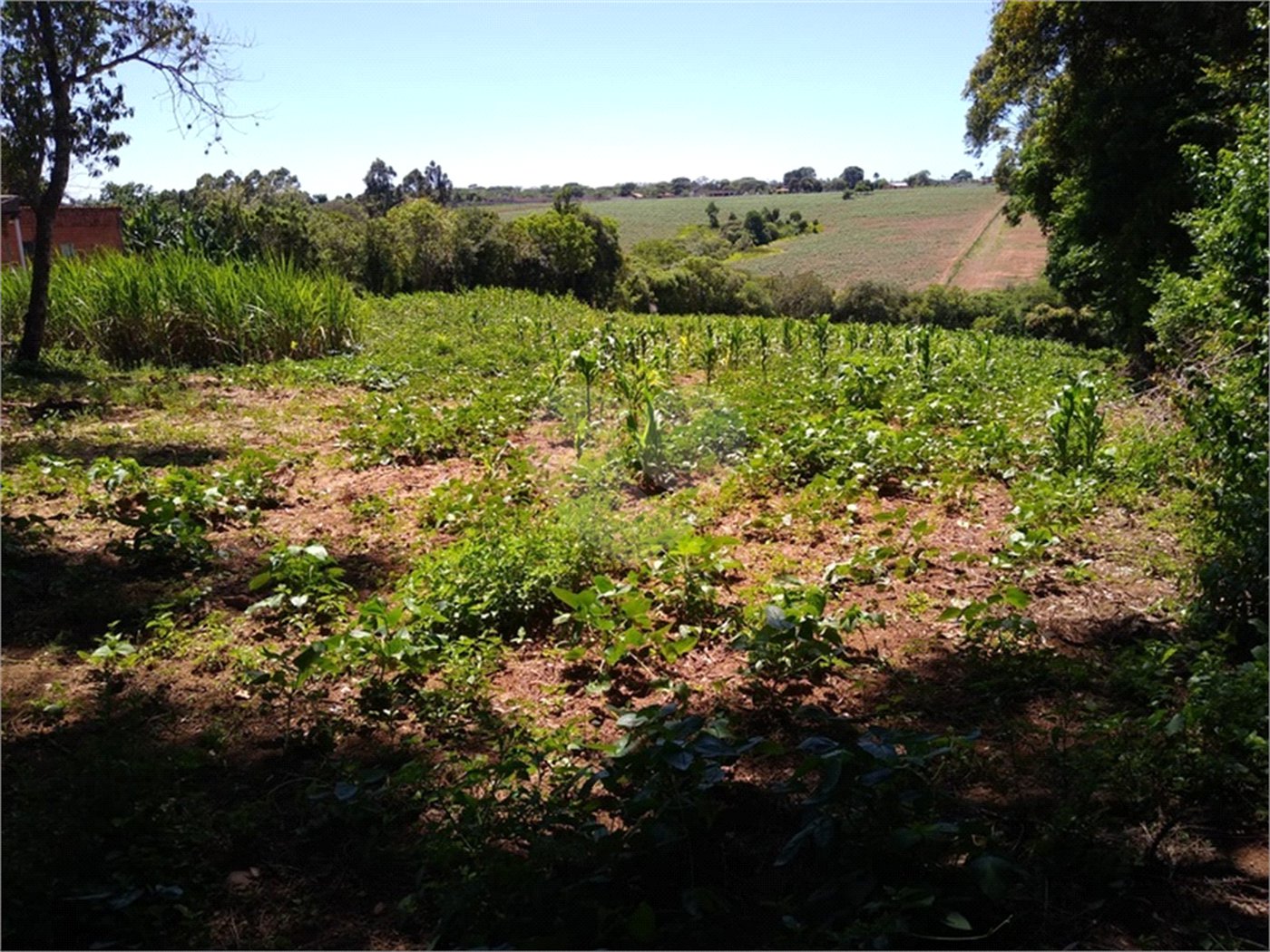 Área de Terra à venda em Cristóvão, Araçoiaba da Serra, SP