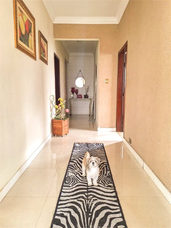 Casa Térrea à venda com 3 quartos em Jaguaré, São Paulo, SP
