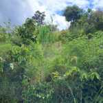 Terreno à venda em Jardim Estância Brasil, Atibaia, SP
