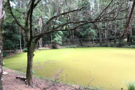 Terreno à venda em Vista Alegre, Vinhedo, SP