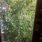 Casa à venda com 3 quartos, sendo 2 suítes,  em Morumbi, São Paulo, SP