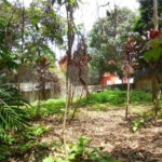 Terreno à venda em Alto da Boa Vista, São Paulo, SP