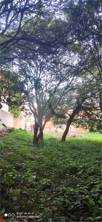 Terreno à venda com 3 quartos, sendo 1 suíte, em Imirim, São Paulo, SP