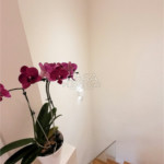 Apartamento à venda com 2 suítes em Vila Mariana, São Paulo, SP