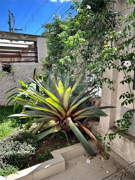 Casa à venda com 4 quartos, sendo 2 suítes, em Planalto Paulista, São Paulo, SP