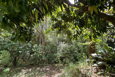 Chácara à venda com 3 quartos, sendo 1 suíte, no Centro, Araçoiaba da Serra, SP