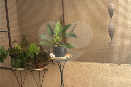 Casa à venda com 3 quartos, sendo 1 suíte,  em Jardim São José, São Roque, SP