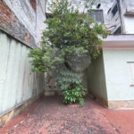 Casa à venda com 3 quartos, sendo 1 suíte, em Freguesia do Ó, São Paulo, SP