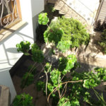 Casa Térrea à venda com 3 quartos, sendo 1 suíte, em Parada Inglesa, São Paulo, SP