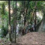 Terreno à venda em Jardim Peri Peri, São Paulo, SP