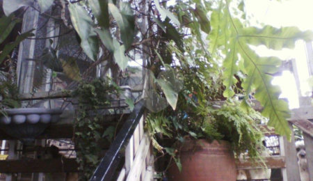 Prédio à venda em Água Fria, São Paulo, SP