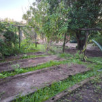 Chácara à venda com 3 quartos, sendo 1 suíte,  em Ribeirãozinho, Alambari, SP
