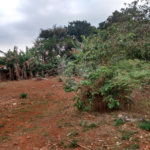 Terreno à venda em Vila Judite, Itapetininga, SP