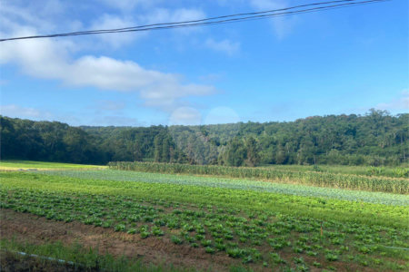 Terreno à venda com 5 quartos, sendo 4 suítes, em Vila Aparecida, Suzano, SP