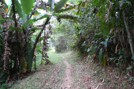 Terreno à venda em Rio Grande, São Bernardo do Campo, SP