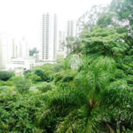 Apartamento à venda com 3 quartos em Barro Branco (zona Norte), São Paulo, SP
