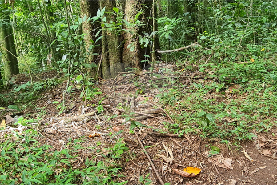 Terreno à venda em Caraguatá, Mairiporã, SP
