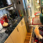 Apartamento à venda com 1 suíte em Indianópolis, São Paulo, SP