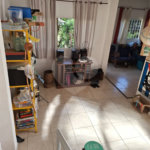 Sobrado à venda com 2 quartos em Casa Verde, São Paulo, SP