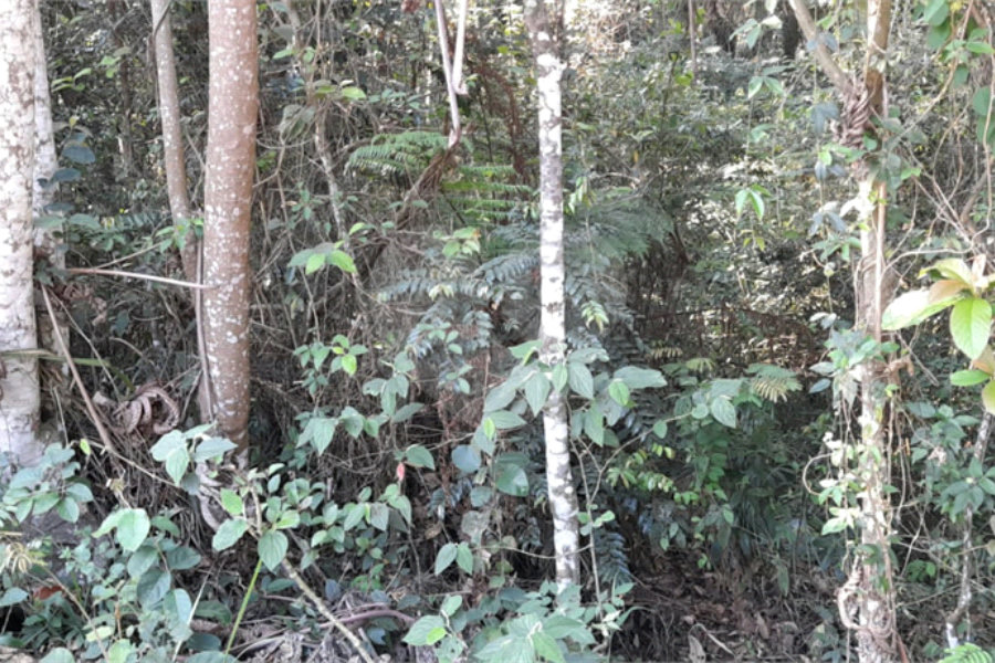 Terreno à venda em Serra da Cantareira, Mairiporã, SP
