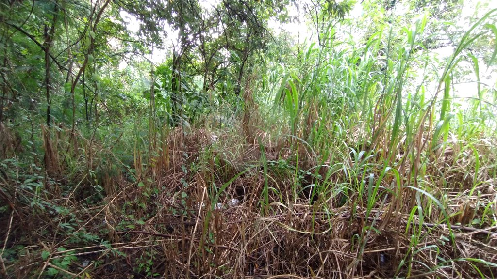 Terreno à venda em Vila Suzana, São Paulo, SP