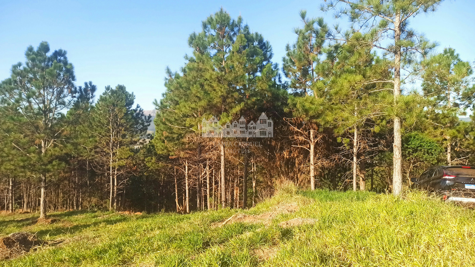 Terreno, 2 hectares - Foto 12