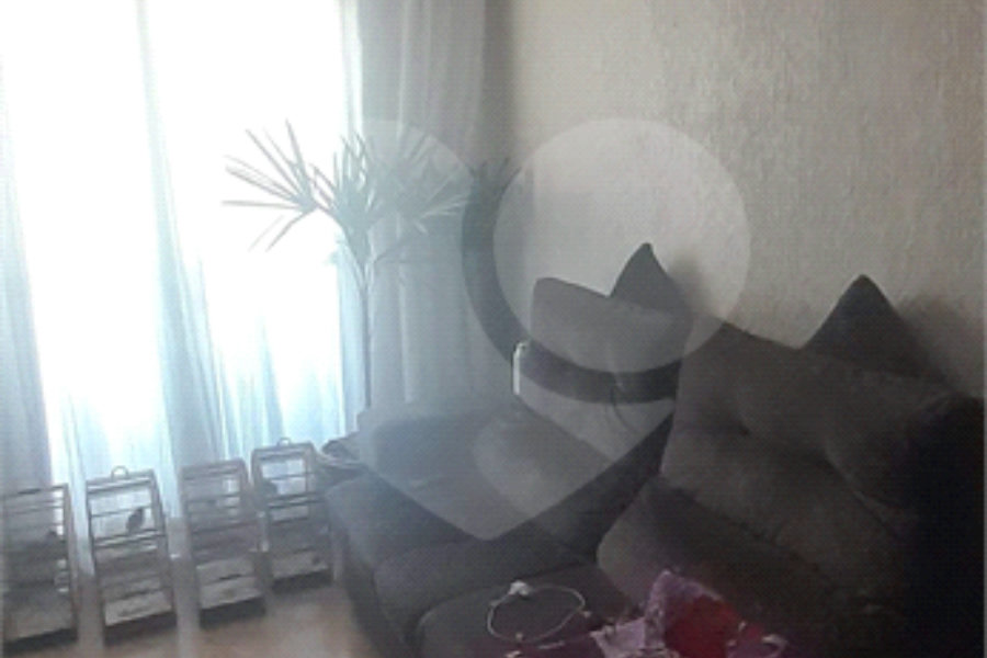 Apartamento à venda com 3 quartos em Vila Nova Cachoeirinha, São Paulo, SP