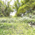 Terreno Residencial à venda, Morro de Nova Cintra, Santos - TE0034.
